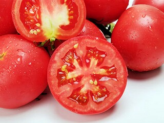 月季花的作文550字（月季花优秀作文500字）