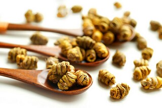 积极向上的诗句（表达乐观积极向上的诗句）