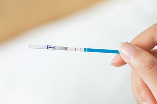《毕业歌》肖复兴阅读答案（毕业歌阅读题参考答案）
