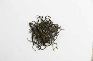 描写荷花圣洁的诗句_描写荷花圣洁的诗句有哪些