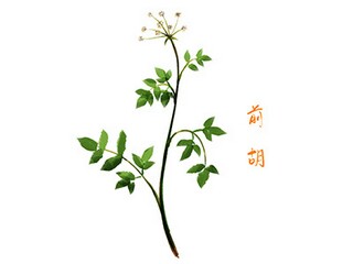 三年级语文重点工作与思路_三年级语文级段教学的工作计划