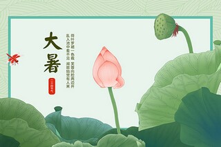 房产代理合同(代理合同解除)