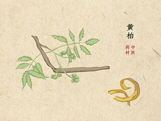借款合同半年一签合法吗_常用版合法借款合同