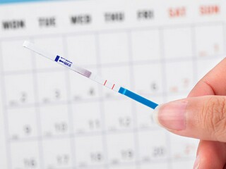 合伙合同协议书2024标准版_最新2024合伙协议书
