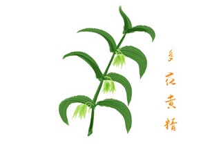 合伙协议书_合伙协议书电子版本