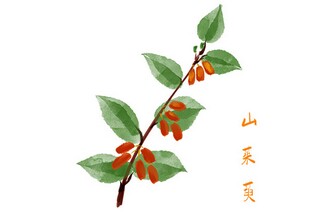 购销合同和加工合同有哪些区别_加工制作合同加工制作合同怎么写
