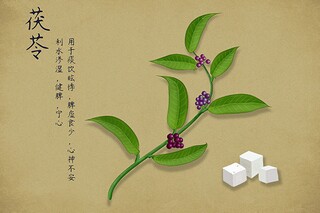 小学一年级数学《认识钟表》教学反思_小学一年级数学认识钟表预习