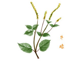 公司国庆放假通知(公司国庆放假通知顾客)