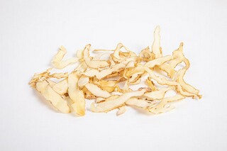 《我与地坛》优秀读后感(我与地坛的读后感10字)