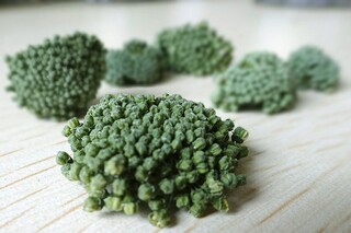 房屋租赁合同(房屋租赁合同纠纷律师免费咨询)