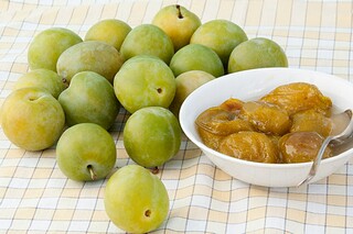 家风家训 的作文：家风家训900字作文_家风家训作文900字