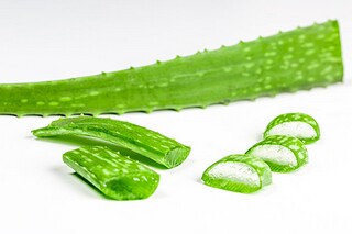 校企合作框架简单版的协议书_校企合作协议合同范本