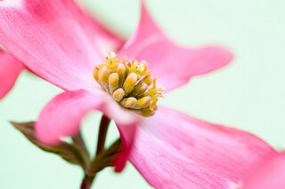 第三人房产抵押担保合同_第三方房产抵押人需要承担的责任