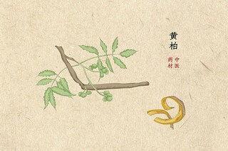 索赔工作总结_索赔工作最常用的方法