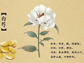 公开课《搭石》优秀教学设计(公开课教学设计)