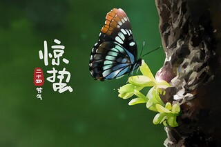 合伙做生意合同协议书范本(三人合伙做生意合同如何写)