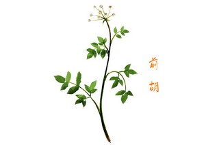 承包经营协议书_承包经营协议书无效条件