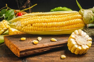 六年级下学期学生评语_六年级下学期学生评语简短