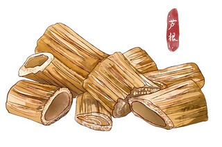 旅游社实习报告(旅游实习月报视频)