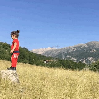 合法的合同借款_合法借款合同