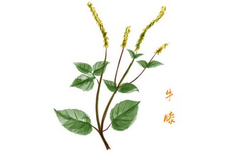 大学学生会文体部部长竞选演讲稿_大学学生会体育部部长竞选演讲稿