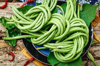 汽车租赁合同(汽车租赁合同样板)