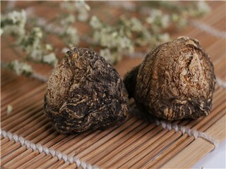 户外活动策划方案范本大学生_户外活动策划方案