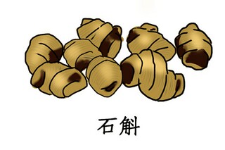 工程顶岗实习报告_工程的实习报告
