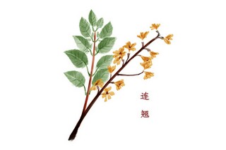 物业管理方案(物业管理方案定制)