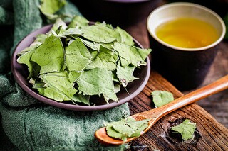安全方案(安全方案范文10篇)
