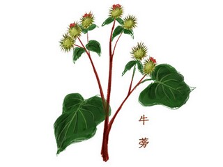 2020年购销合同范本图片_2024年购销合同通用版