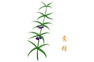 小学高级职称述职报告_小学高级教师述职报告