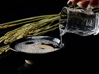 房屋及土地租赁合同样本_房屋租赁合同_房屋土地租赁合同范本