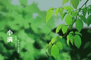 订购协议书上的价格_订购协议书