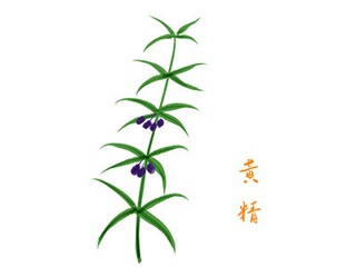 大学毕业典礼简报_大学毕业典礼后新闻稿