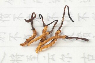 机电设备安装合同(机电设备安装承包合同协议)