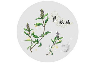 国务院五一劳动节放假通知_国家五一劳动节放假通知