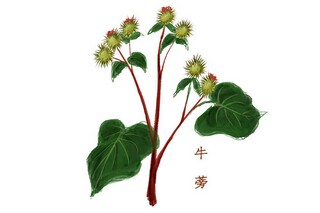 场地租赁合同(场地租赁合同违约)