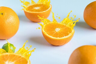 万能个人简历_万能个人简介