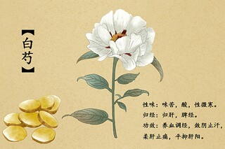 劳务承包合同_劳务承包合同2025最新版本