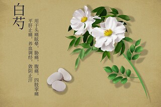 迟到检讨书500字万能_迟到检讨书