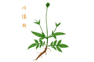 工伤鉴定申请书_工伤鉴定申请书模板