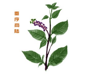 土地租赁建房合同_房屋租赁合同_房屋租赁合同电子版可打印免费