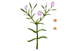 去学院实习报告(资料员实习报告)