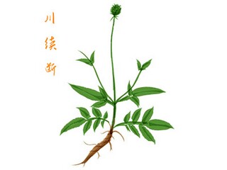 药厂实习报告_药厂实习报告