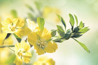 装修合同(装修合同包工包料正规范本)