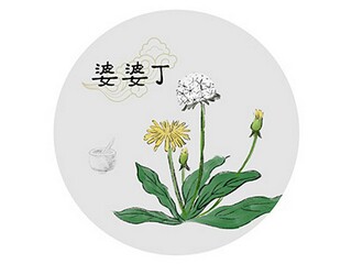 外贸业务员实习报告范文3000字_英语外贸实习报告