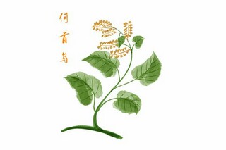 付款通知书(付款通知书支付方式)
