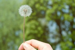 公司正规的劳动合同_员工正规的劳动合同