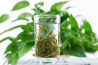 范进中举续写初三_范进中举续写